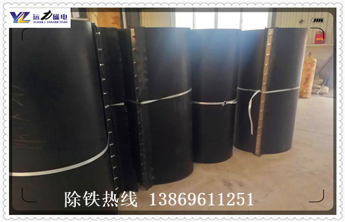 永磁除鐵器,廣東RCYB--12永磁除鐵器行業(yè)標(biāo)準(zhǔn)知識(shí)參數(shù)_內(nèi)部磁塊安裝方法_廣東RCYB--12永磁除鐵器行業(yè)標(biāo)準(zhǔn)型號(hào)價(jià)格 永磁除鐵器,廣東RCYB--12永磁除鐵器行業(yè)標(biāo)準(zhǔn)知識(shí)參數(shù)_內(nèi)部磁塊安裝方法_廣東RCYB--12永磁除鐵器行業(yè)標(biāo)準(zhǔn)型號(hào)價(jià)格